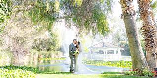 Wedding Scenes