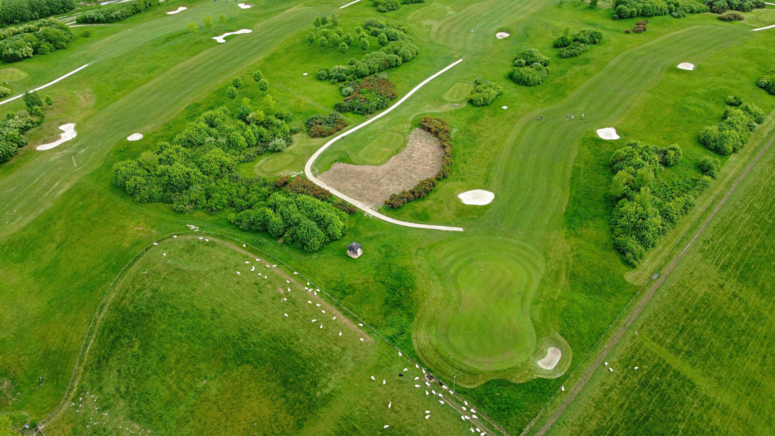 Wide view of a golf course with fairways and surrounding landscape